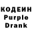 Codein Purple Drank ilya kashlev